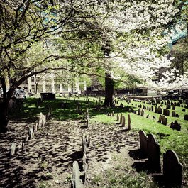 Granary Burying Ground, Boston Photo #5 by Sharon Mollerus from flickr