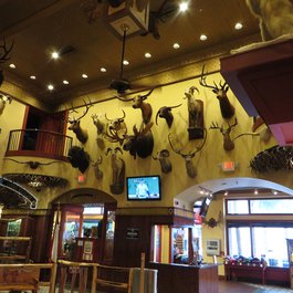 The Buckhorn Saloon & Museum, San Antonio Photo #5 by Ken Lund from flickr