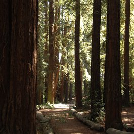 Joaquin Miller Park, Oakland Photo #4 by Ernesto Andrade from flickr