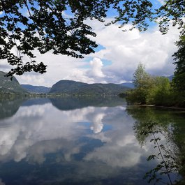 Lake Bohinj, Ljubljana Photo #5 by domjisch from flickr