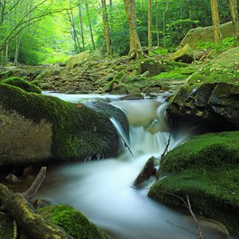 Pocono Mountains, Pennsylvania Photo #4 by Nicholas_T from flickr