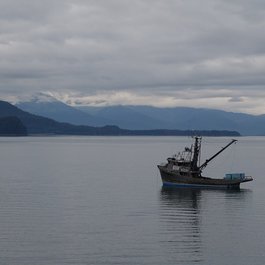 Auke Bay, Glacier Bay National Park Photo #2 by mike from flickr