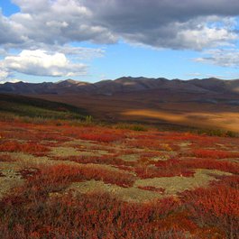 Dempster Highway, Yukon Photo #3 by Tania Liu from flickr