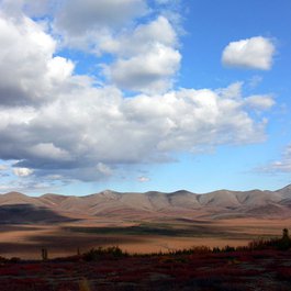 Dempster Highway, Yukon Photo #5 by Tania Liu from flickr