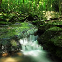 Pocono Mountains, Pennsylvania Photo #6 by Nicholas_T from flickr