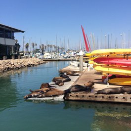 Ventura itinerary, Channel Islands Harbor