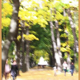 Summer Garden, Saint Petersburg Photo #7 by Dung from flickr