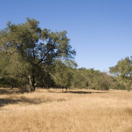 Sacramento itinerary, American River