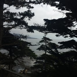 Lone Cypress, Monterey Photo #8 by Sergei Gussev from flickr