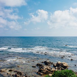 Pebbles Beach, Barbados Photo #2 by Alex Holyoake from flickr