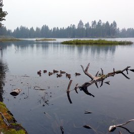 Manzanita, Oregon Photo #8 by Mitch Barrie from flickr