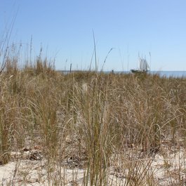 Yorktown Beach, Williamsburg Photo #1 by Nicolas Henderson from flickr