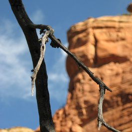 Fay Canyon Trail, Sedona Photo #6 by Ernesto Andrade from flickr