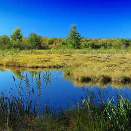 Pocono Mountains, Pennsylvania Photo #5 by Nicholas_T from flickr