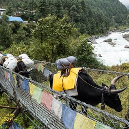 Lukla, Nepal Photo #7 by Robert Brands from flickr