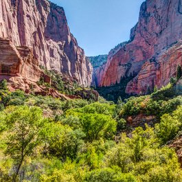 Kolob Canyons, Zion National Park Photo #2 by Steven dosRemedios from flickr