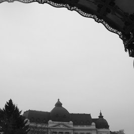 The National Museum Of Art Of Romania, Bucharest Photo #3 by Ted Drake from flickr
