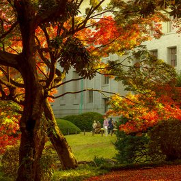 Tokyo National Museum, Tokyo Photo #2 by Yoshikazu TAKADA from flickr
