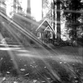The Grotto, Portland Photo #6 by Darin Barry from flickr