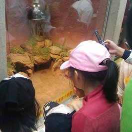 Taipei Zoo, Taipei Photo #7 by 柏強 趙 from flickr