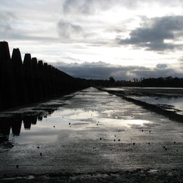 Cramond Island, Edinburgh Photo #8 by Stuart Caie from flickr
