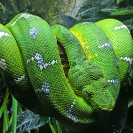 National Aquarium, Baltimore Photo #9 by Judy Gallagher from flickr