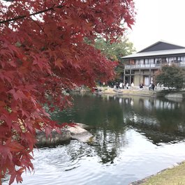 Tokugawaen, Nagoya Photo #2 by Kanesue from flickr