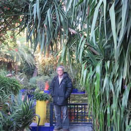 Morocco itinerary, Musée Berbère Jardin Majorelle