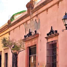 Coyoacán, Mexico City Photo #7 by Carl Campbell from flickr