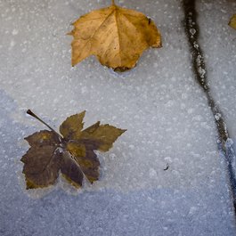 Liberty Park, Park City Photo #9 by Cliff Johnson from flickr