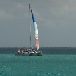 Stingray City Antigua, Antigua Photo #8 by Pete Markham from flickr
