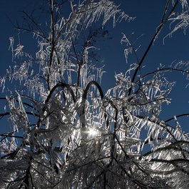 Florida, Ohio Photo #5 by Rob Bixby from flickr