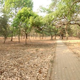 Cubbon Park, Bangalore Photo #3 by Aniket Suryavanshi from flickr