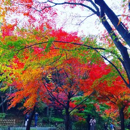 Nagoya itinerary, Tokugawaen