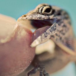 Islamorada, Marathon Photo #1 by Werwin15 from flickr