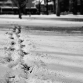 Salt Lake City And County Building, Park City Photo #5 by Cliff Johnson from flickr