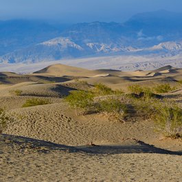 Mesquite Flat Sand Dunes, Death Valley National Park Photo #5 by Jason Rosenberg from flickr