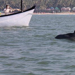 Palolem Beach, Goa Photo #4 by Nicolas Vollmer from flickr