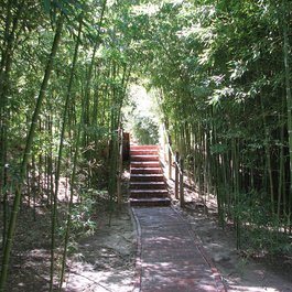 Fort Worth Botanic Garden, Fort Worth Photo #4 by QuesterMark from flickr