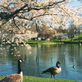 Forest Lawn Cemetery, Buffalo Photo #5 by Zen Skillicorn from flickr