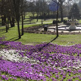 Seaton Park Aberdeen, Aberdeen Photo #4 by Iain Cameron from flickr