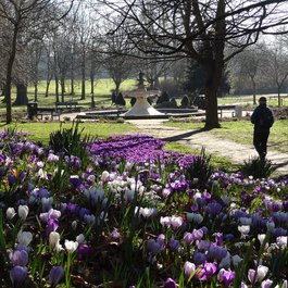 Seaton Park Aberdeen, Aberdeen Photo #3 by Iain Cameron from flickr