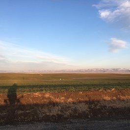 Pendleton, Oregon Photo #8 by ilya_ktsn from flickr