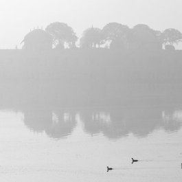 Jal Mahal, Jaipur Photo #6 by Brian Walter from flickr