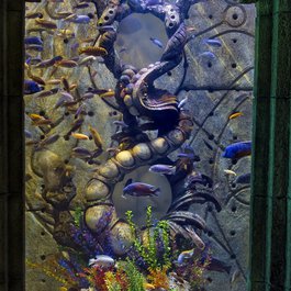 Atlantis Hotel, Barbados Photo #5 by Tambako The Jaguar from flickr