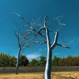 Modern Art Museum Of Fort Worth, Fort Worth Photo #2 by Chris Friese from flickr