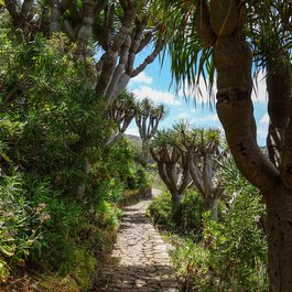 Las Palmas De Gran Canaria itinerary, Canario Garden