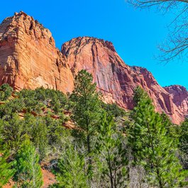 Kolob Canyons, Zion National Park Photo #9 by Jack Miller from flickr