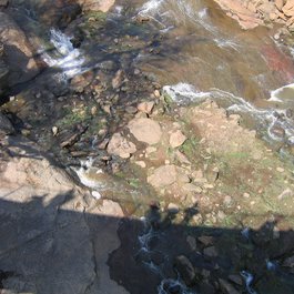 Reedy River Falls, Greenville Photo #6 by Jason Riedy from flickr