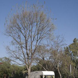 Los Olivos, Santa Barbara Photo #6 by Damian Gadal from flickr